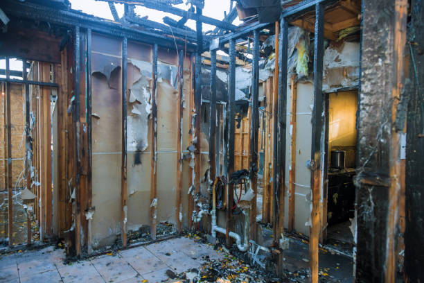 Professional Soot Cleanup technician working in Springfield, KY