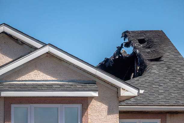 Top rated local Soot Cleanup specialists in Springfield, KY